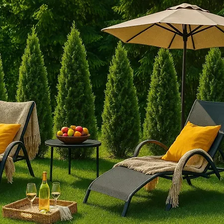Domki Dream Home Z Tarasem I Ogrodem, Szybkim Wi-Fi 600Mb I Vod, Parking Free Ev Bad Altheide Exterior foto